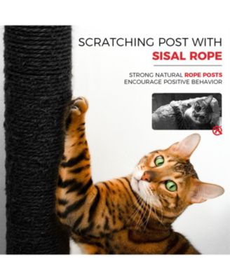 Cat Tree with Scratching Posts, Perches, Hammock in Black