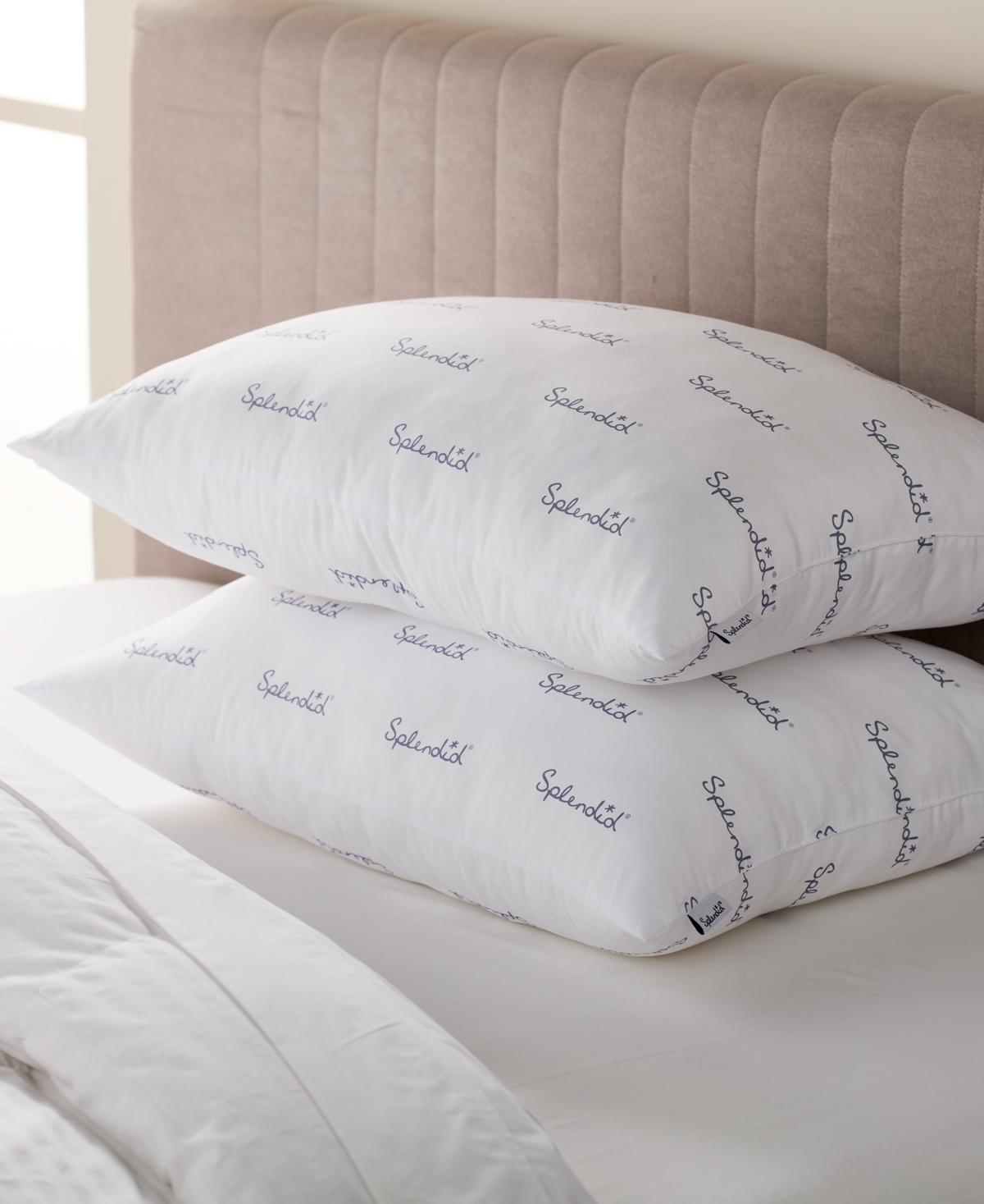 Splendid Medium Density 2-Pack Pillows, Standard