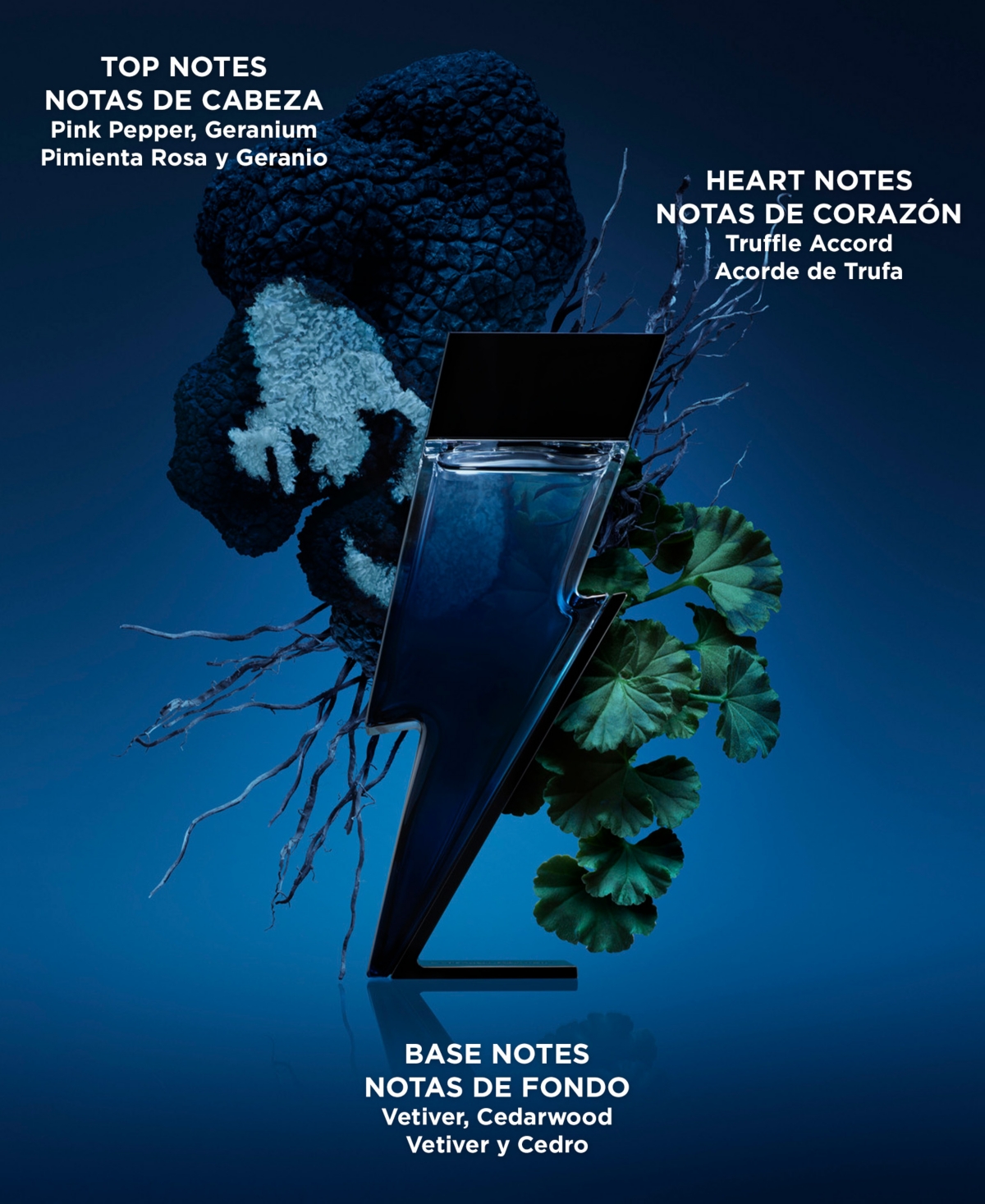 Carolina Herrera 2-Pc. Bad Boy Cobalt Eau De Parfum Valentine's Day Gift Set