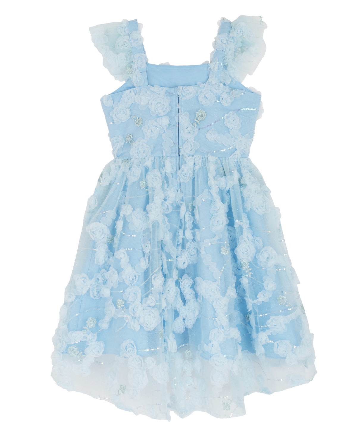 Rare Editions Girls' 7-16 Blue Floral Soutache Flutter Strap Dress