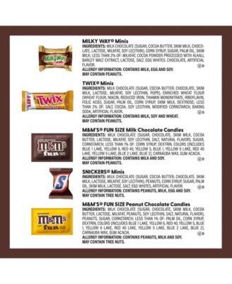 Favorites Chocolate and Gummy Bundle, 2 Pack