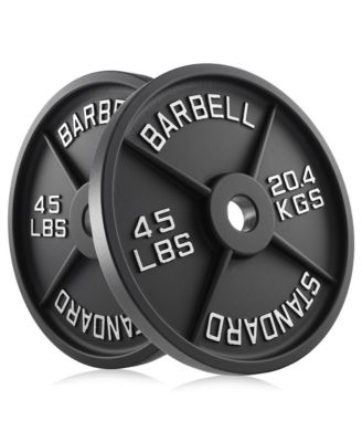 Set of 2 Standard Cast Iron Olympic 2-inch Weight Plates (45 LB each)