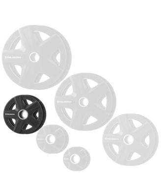 Set of 2 Rubber Coated 2-inch Olympic Grip Weight Plates (10 LB each) for Weightlifting