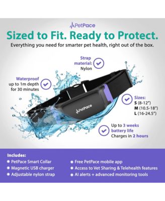 Dogs Health Monitoring Collar, Cats