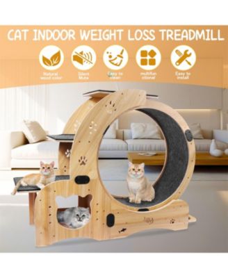 Upgraded Cat Wheel Exerciser with Silent Wheel in Natural Wood