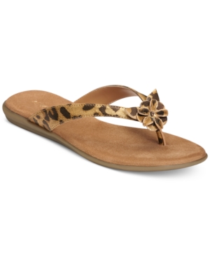 UPC 887740741178 product image for Aerosoles Branchlet Flip Flop Sandals Women's Shoes | upcitemdb.com