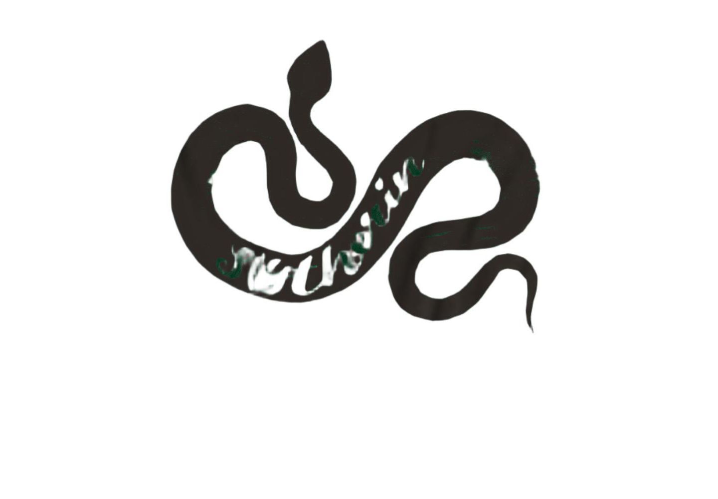 Мужская футболка Harry Potter Slytherin Wordcraft, цвет: Тёмно-зелёный — фото 2