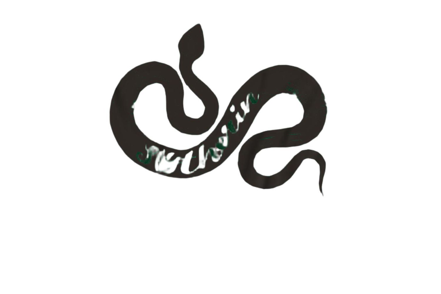 Men's Slytherin Wordcraft T Shirt