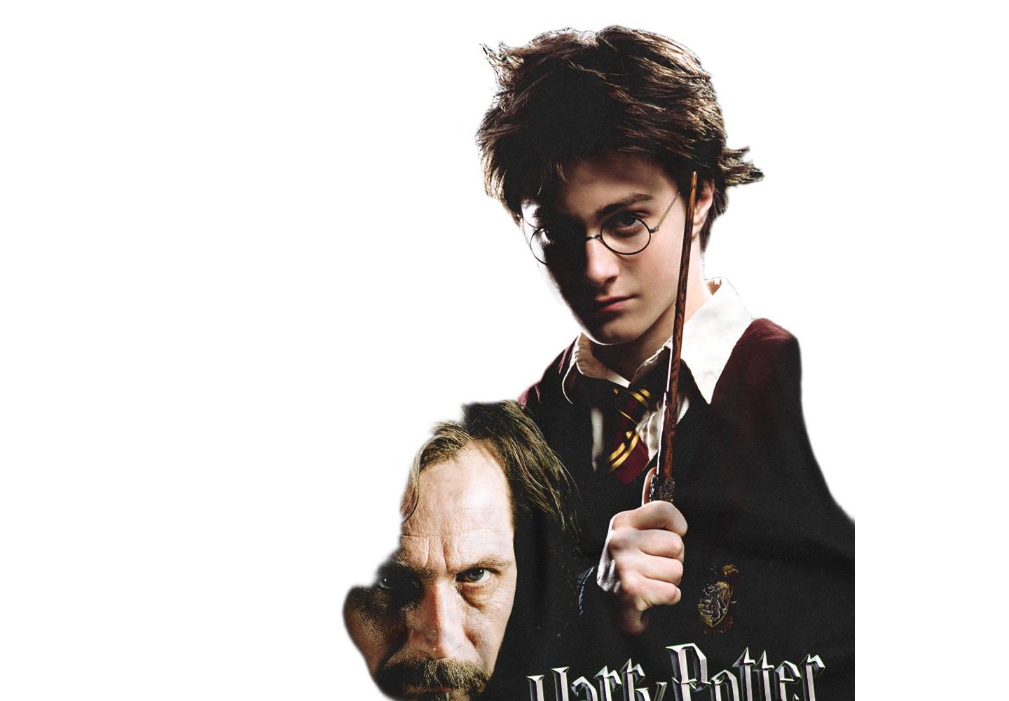Мужская футболка Harry Potter Harry And Sirius, цвет: Чёрный — фото 2