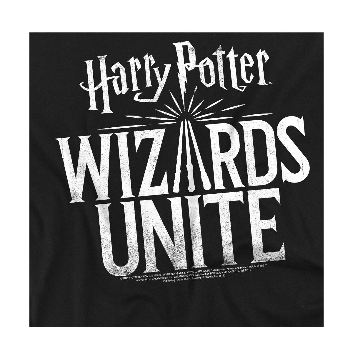 Harry Potter Men's Wizards Unite Logo T Shirt