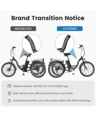 350W Electric Tricycle for Adults