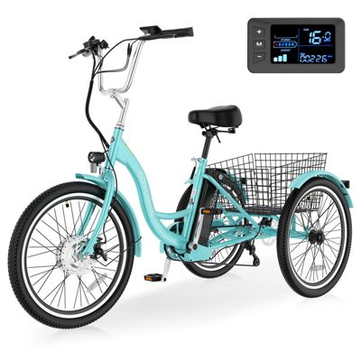 350W Electric Tricycle for Adults
