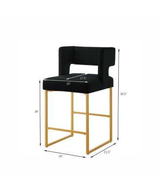 Modern Fashion Counter Height Bar Stools, Set of 2