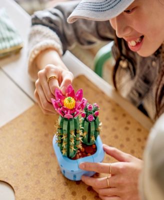 teller kaktus Buy 5 Fortune teller cactus plants pack online from Nurserylive at lowest  price main image 1