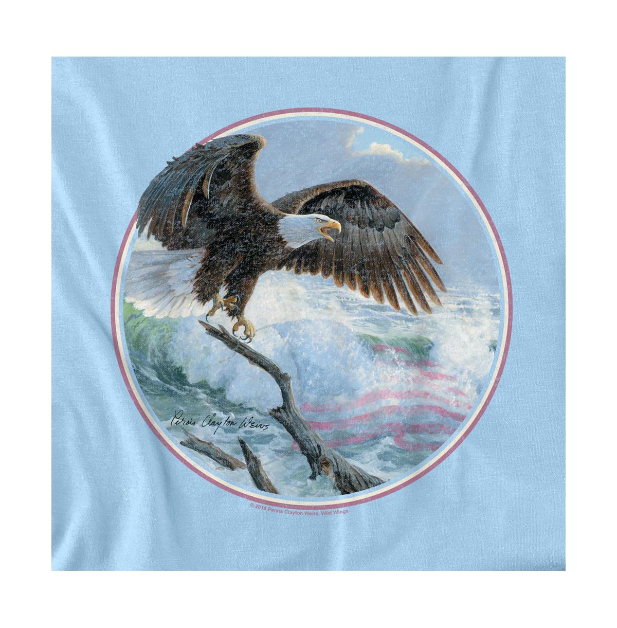 Wild Wings Men's Glory T Shirt