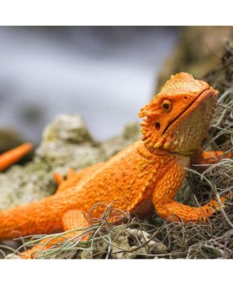 Bearded Dragon Incredible Creatures Figure Safari Ltd