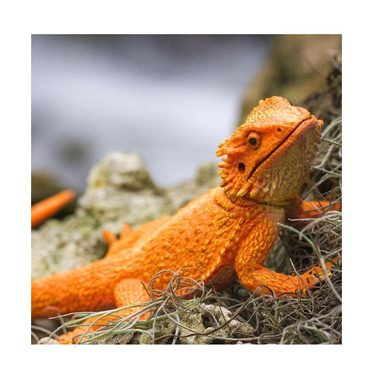 Safari Ltd Bearded Dragon Incredible Creatures Figure