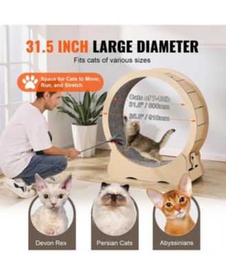 Large Cat Exercise Wheel & Treadmill for Indoor Cats - 35.8” Silent Running Wheel