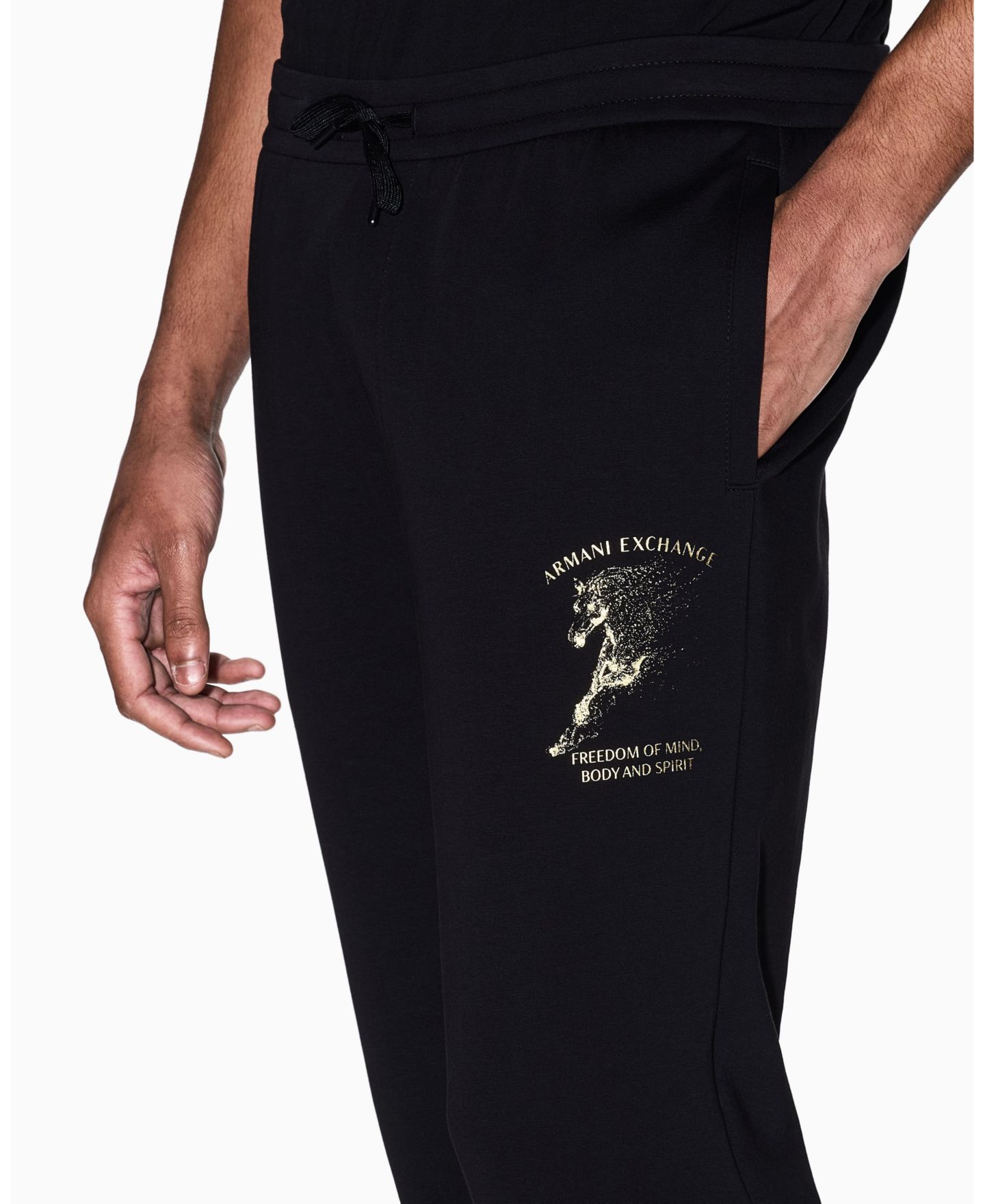 Мужские брюки A|X Armani Exchange Lunar New Year Graphic Jogger, цвет: Чёрный — фото 3