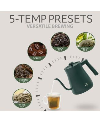 1L Gooseneck Electric Kettle