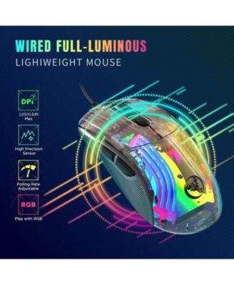 Transparent Wired Gaming Mouse, 12800 DPI Adjustable, RGB Backlight, Ergonomic Lightweight Mouse for Gamers & Office Workers
