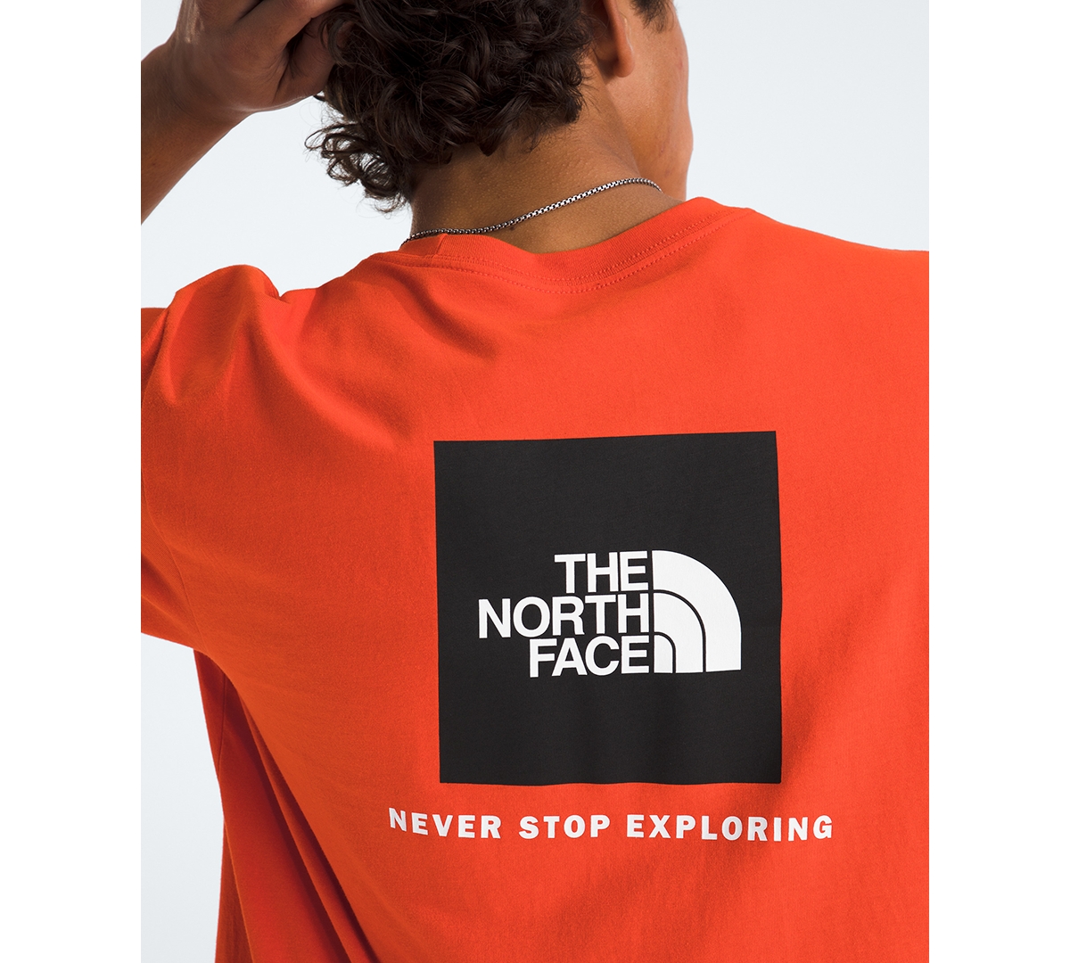 The North Face Men's Evolution Box Nse Short-Sleeve T-Shirt