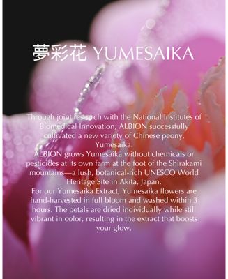 Albion Eclafutur Treatments & Serum