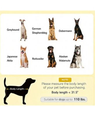 Portable Elevated Dog Cot - Breathable Cooling Bed with Modern Frame