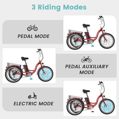 350W Electric Tricycle for Adults with 24" x 2.1" Wheels