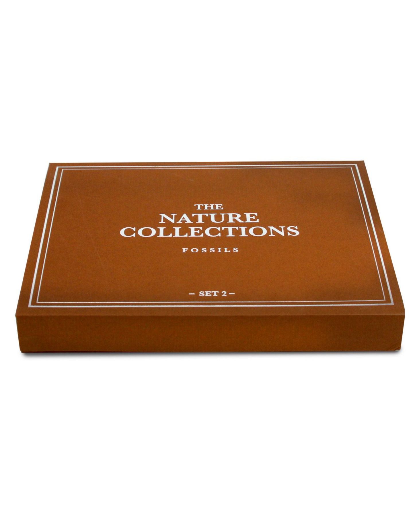 Детские игрушки Geoworld The Nature Collection - Fossils Set 2 — фото 2