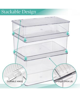 Storage Bins For Pantry & Fridge With Hinged Lids (3 Piece Variety)