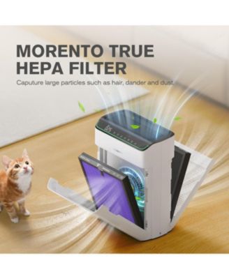 MR5866 Air Purifier Replacement Filter, True HEPA Filter Compatible with MR5866, Multifunctional Version, 2 Pack