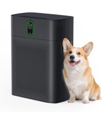 Air Purifier for large rooms up to 1076 sq ft. PM2.5 display, removes 99.97% of pet hair with double-sided air inlet. 24dB quiet, black