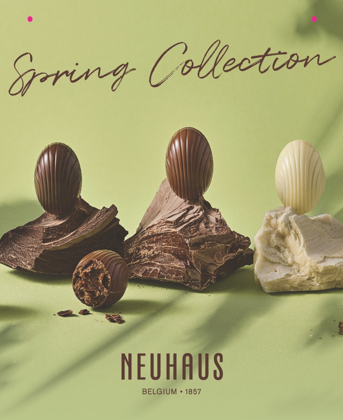Neuhaus Spring Ballotin Assorted Chocolate