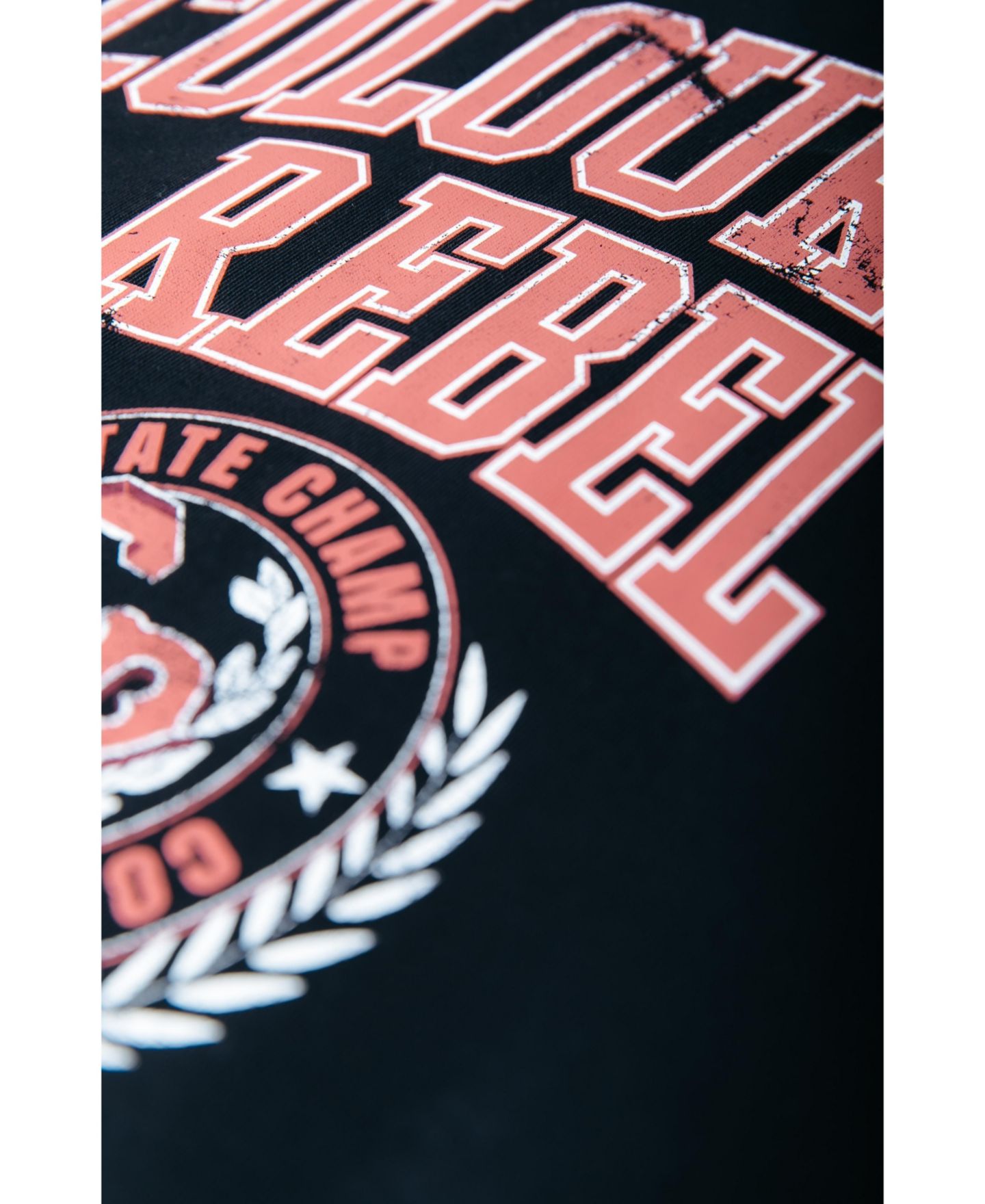 Женский топ Colourful Rebel CR Varsity Relaxed Sweat, цвет: Чёрный — фото 3