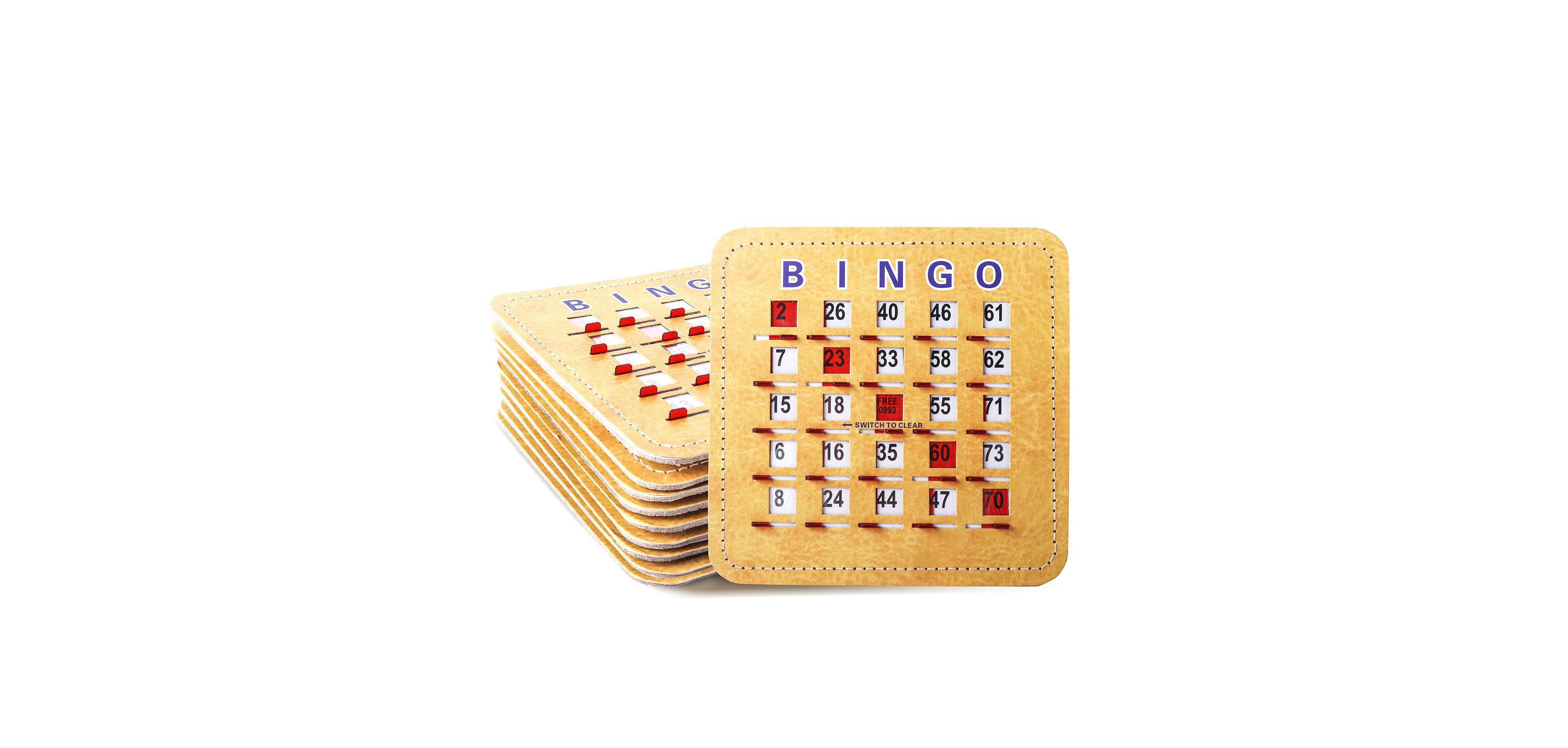 Gse Games & Sports Expert Shutter Large Print Bingo Cards, 10-Pack, Ages 15+