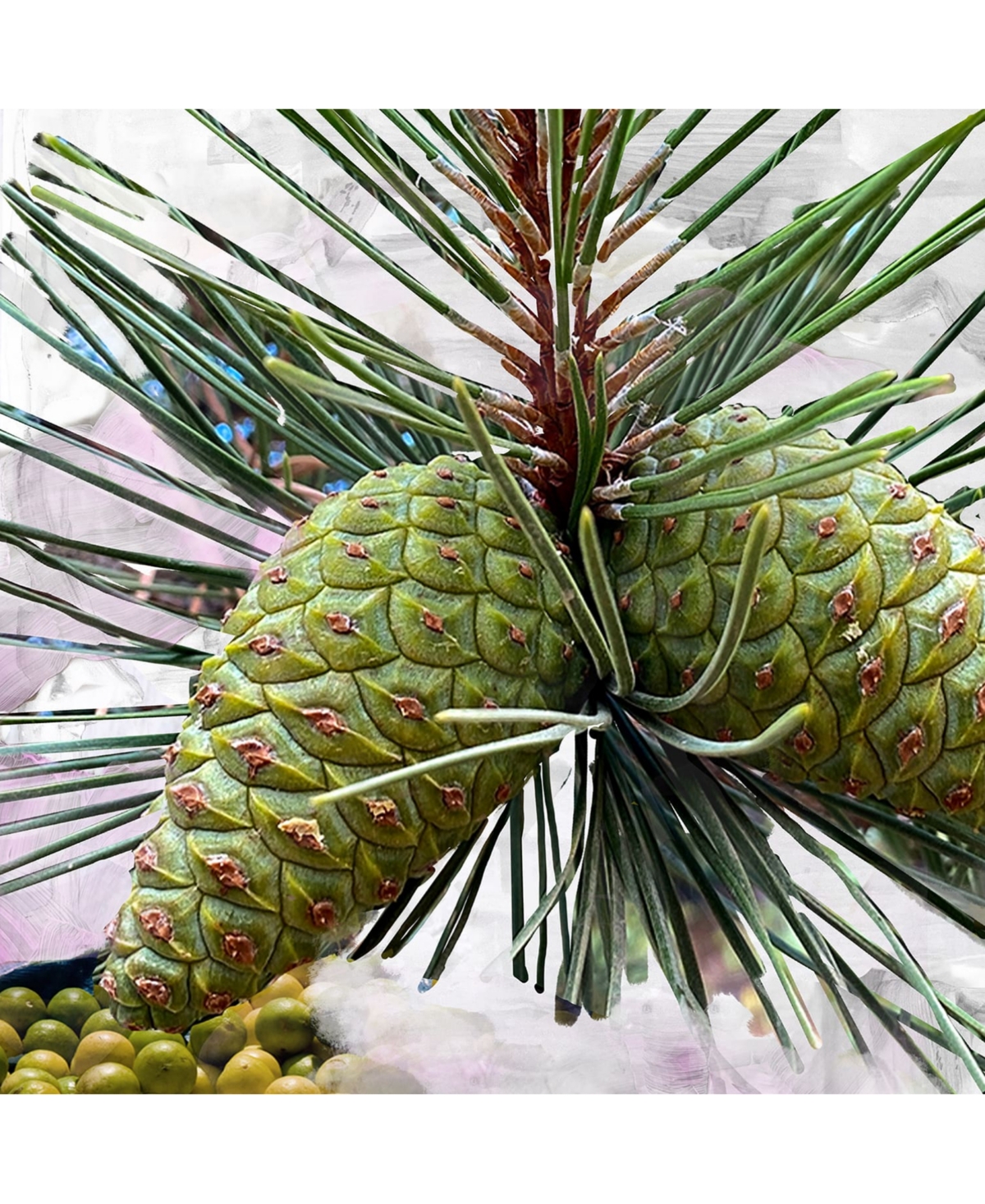 Byredo Gypsy Water Body Wash