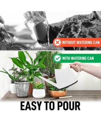 Small Watering Can with Long Slim Spout for Indoor Plants, 47oz