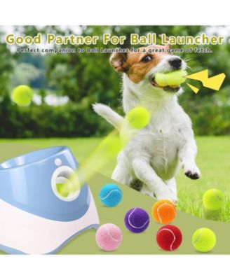 Pack of 6 Dog Tennis Balls 2 Inch Small Size Colorful Pet Playing Balls with Mesh Bag for Easy Transport and Launcher Compatibility