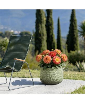 Leaf Embossed MgO Planter, 16.5" Textured Pot for Outdoor & Indoor