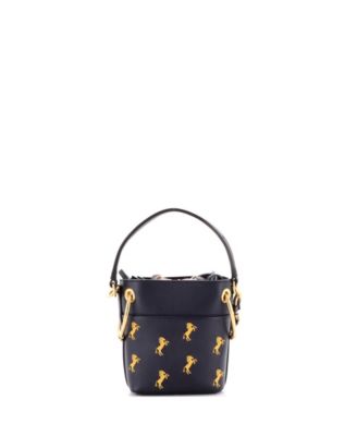 Mini Roy Bucket Bag Embroidered Leather