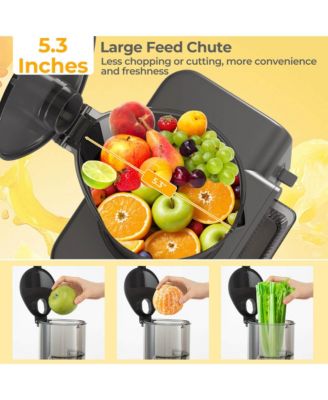 Cold Press Juicer Machine Professional Slow Masticating Juicer with Reverse Button