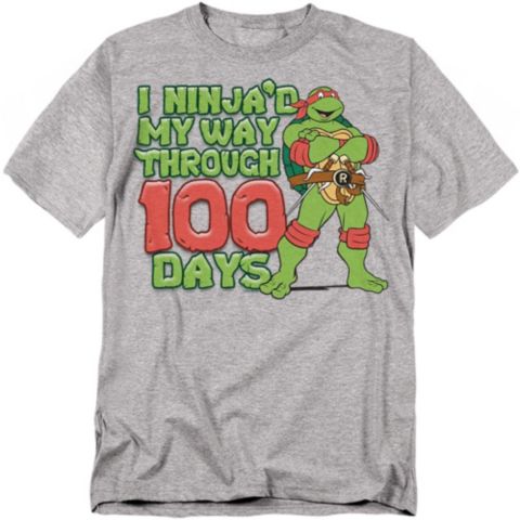 Мужская футболка Teenage Mutant Ninja Turtles Ninja'd My Way Through 100 Days, цвет: Меланжевый