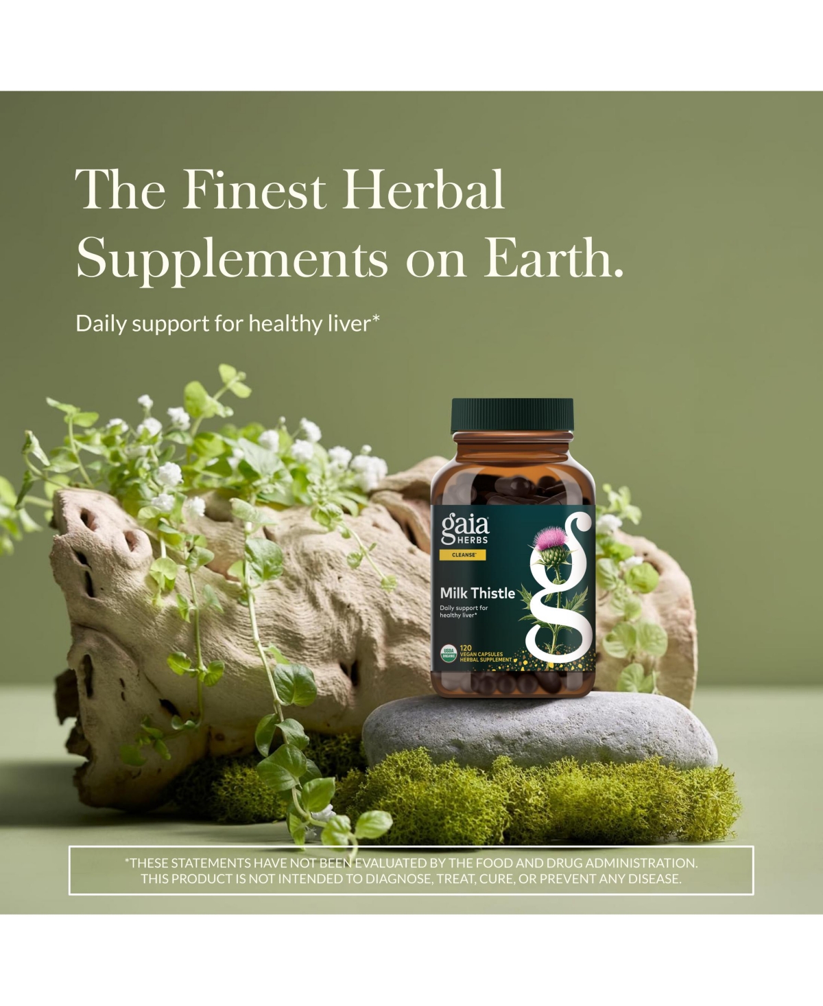 Gaia Herbs Milk Thistle Seed - Liver Supplement & Cleanse Support for Maintaining Healthy Liver Function - With Milk Thistle Seed Extract