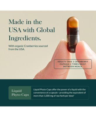 Cranberry Concentrate - Traditionally for Helping to Maintain Urinary Tract Health - 60 Liquid Phyto-Caps (60 Servings)