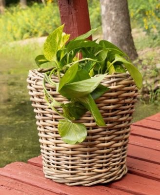 Round Planter with Plastic Insert