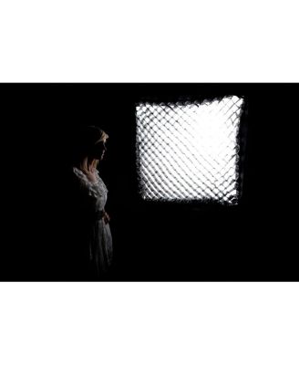 Medium Fabric Grid for Ezybox II Octa Softbox