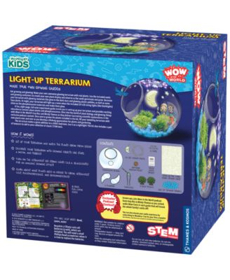 Wow in the World Light-Up Terrarium