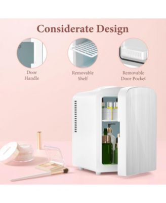 Brushed Stainless Steel Mini Fridge, 4L Portable Cooler (AC/DC)