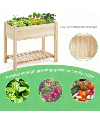 Solid Fir Raised Garden Bed with Storage, 2-Tier Design for Backyard